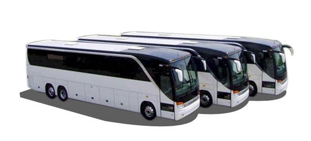 Florida Charter Bus Rental Transportation Company Shuttle Service For Private Groups On Shopping Tour Or Travel 