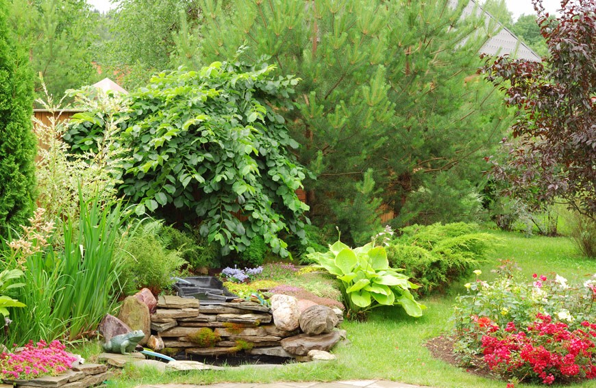 The Difference Between Reactive & Preventative Tree Care