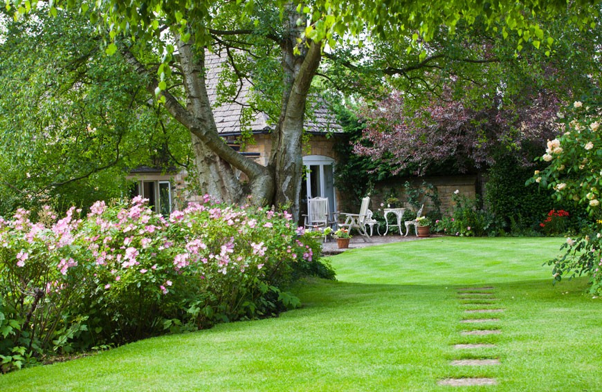 Flowering Trees That Are Small