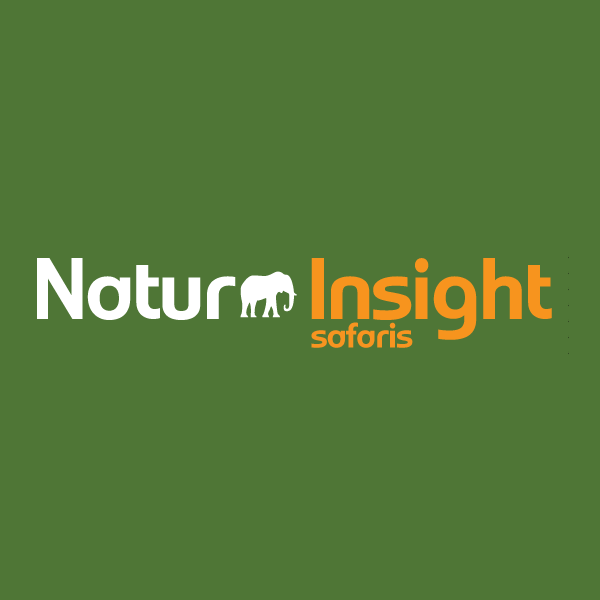 Nature Insight Safaris