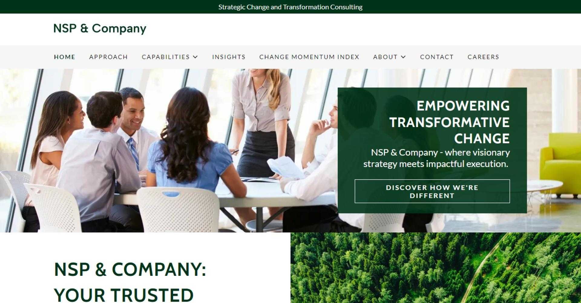 NSP & Company Image